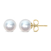 14K Yellow Gold 7-7.5MM Akoya Cultured Pearl Solitaire Stud Earrings