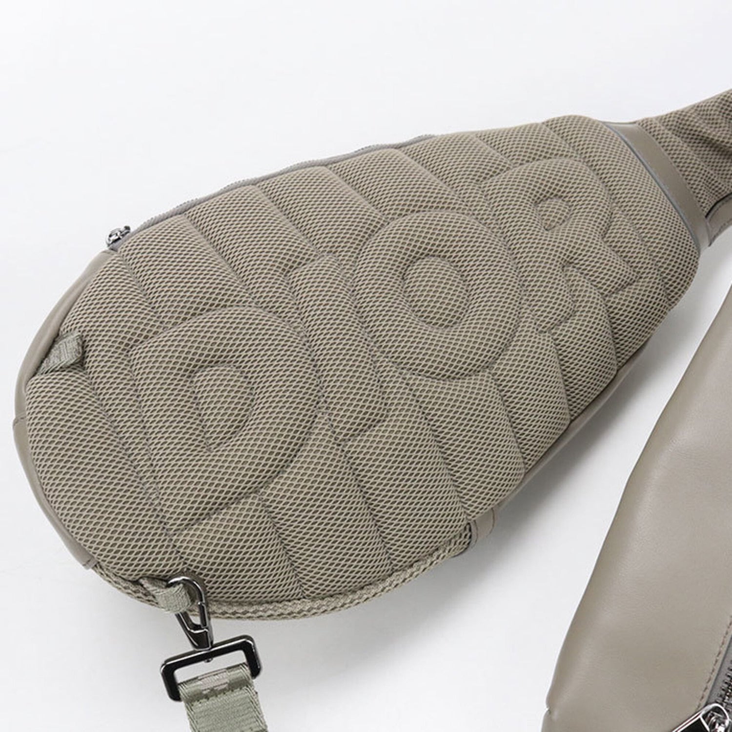 Christian Dior DIOR Dior Body Bag Scarab Men's Gray